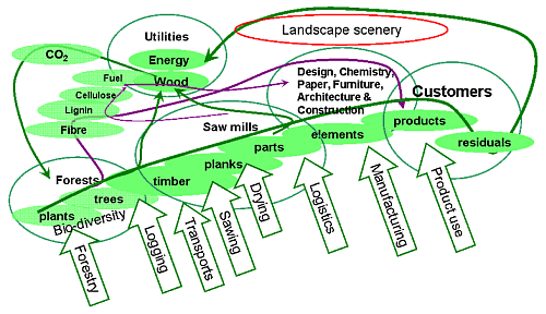 A forestry based supply chain material flow and business system